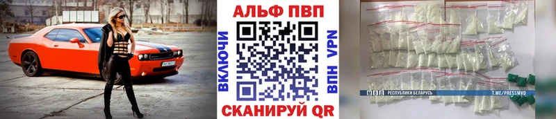 A PVP СК Новотроицк