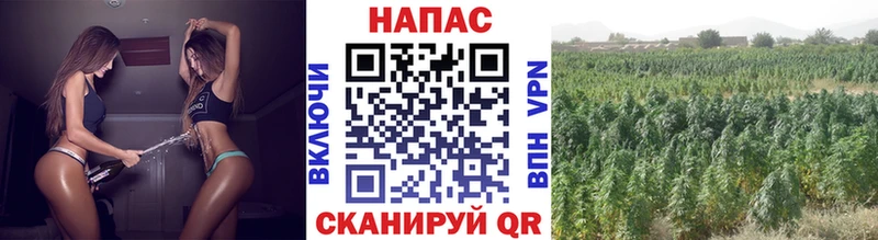 Бошки марихуана AK-47 Купить Новотроицк